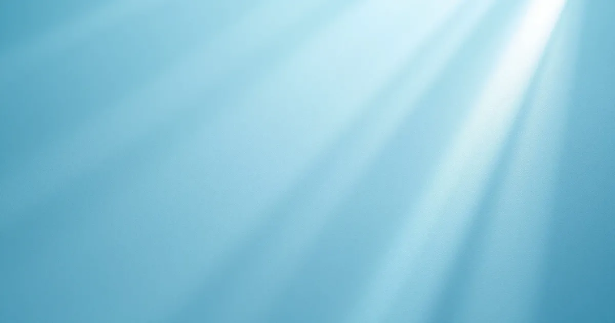 How to Receive SMS Online Netherlands: A Practical Guide for Verification Codes